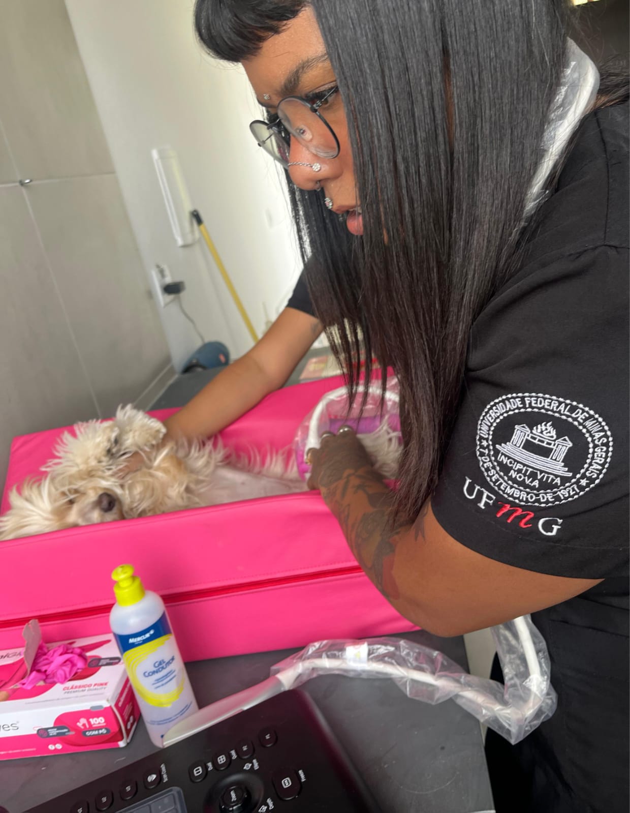 Exame veterinário Ultrapatas